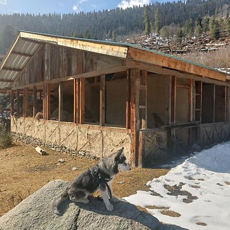 Trimounts-A Boutique Hotel & Wellnes Center In Tirthan Valley Banjar Ngoại thất bức ảnh