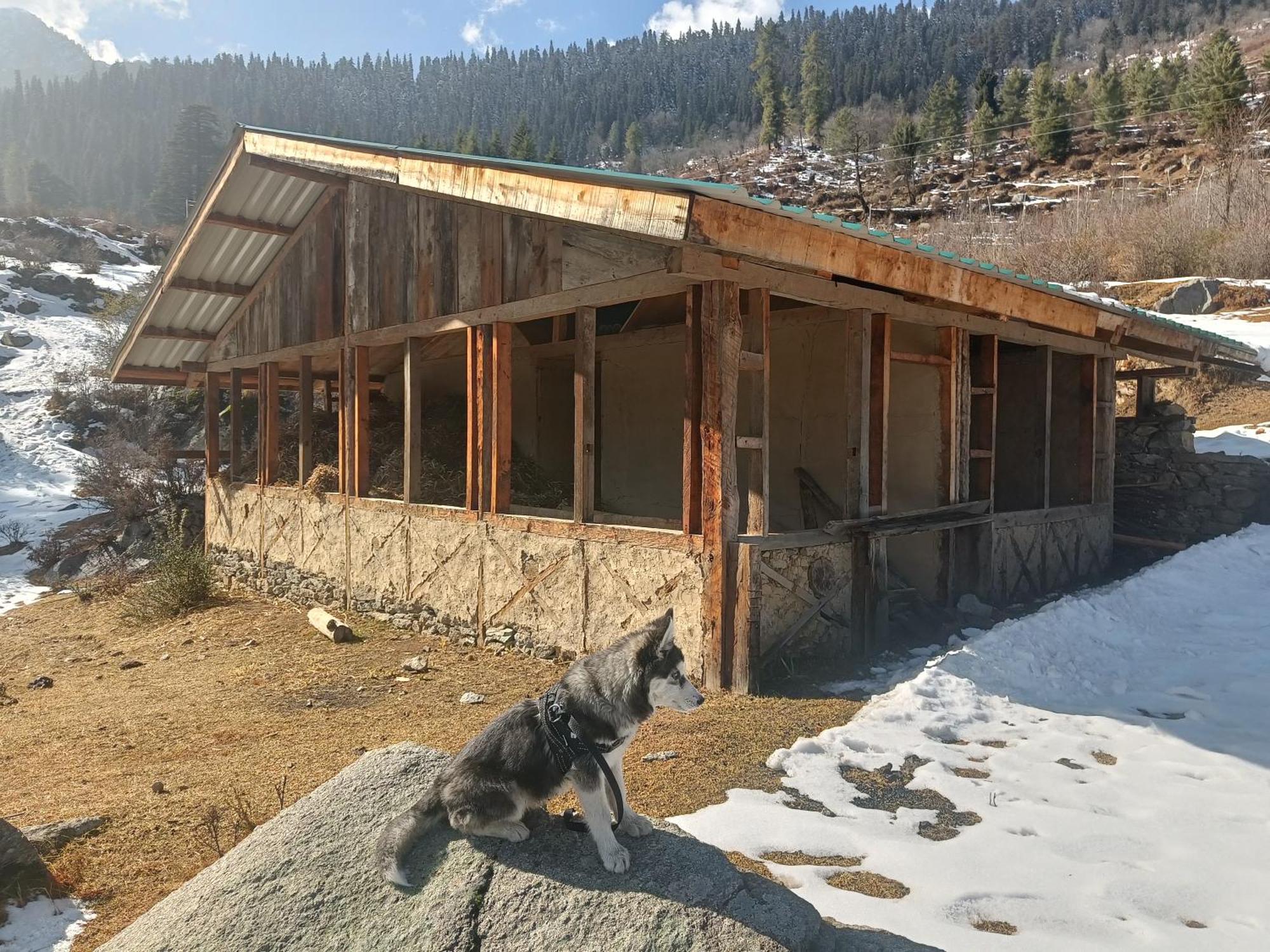 Trimounts-A Boutique Hotel & Wellnes Center In Tirthan Valley Banjar Ngoại thất bức ảnh