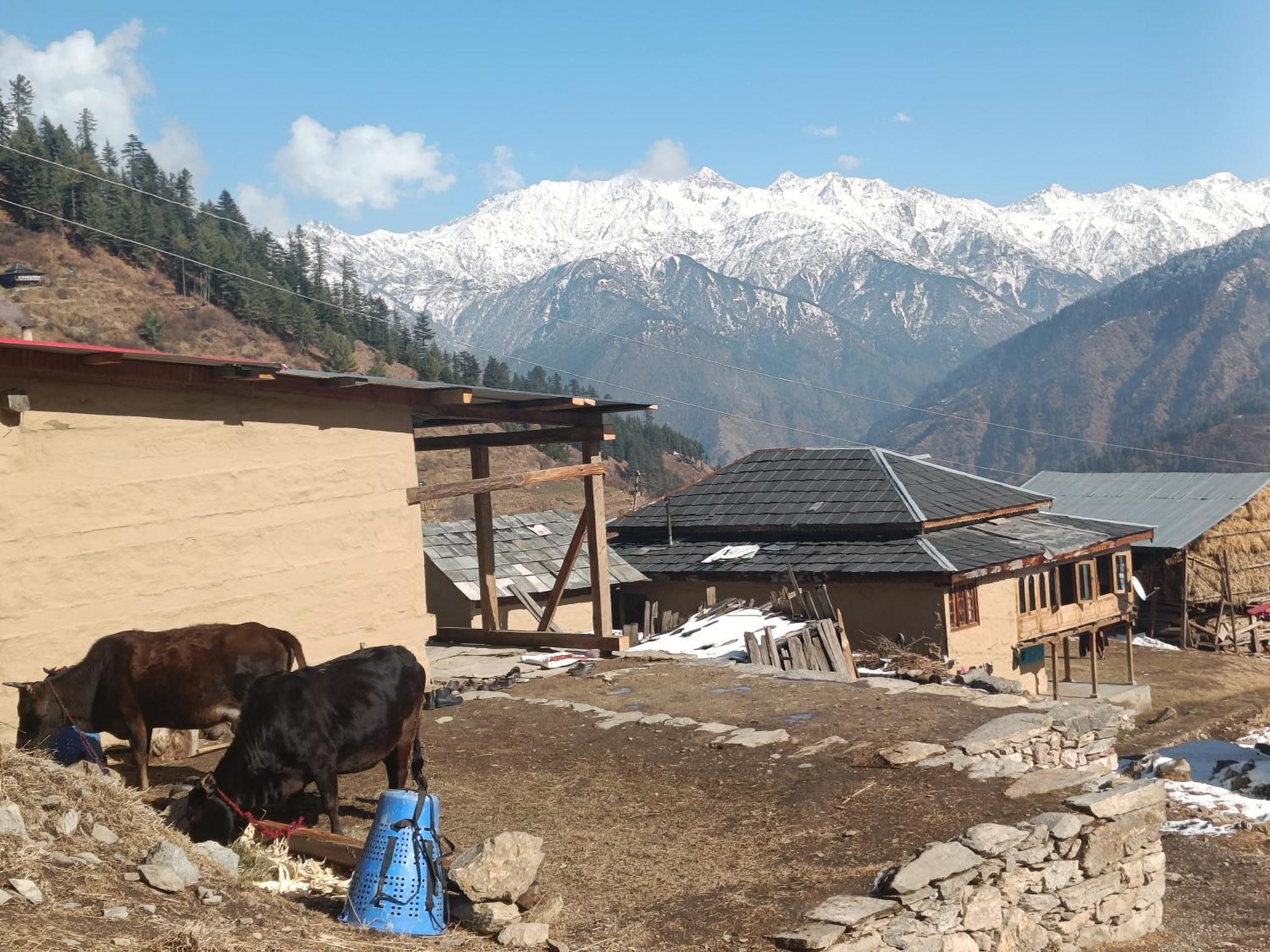 Trimounts-A Boutique Hotel & Wellnes Center In Tirthan Valley Banjar Ngoại thất bức ảnh