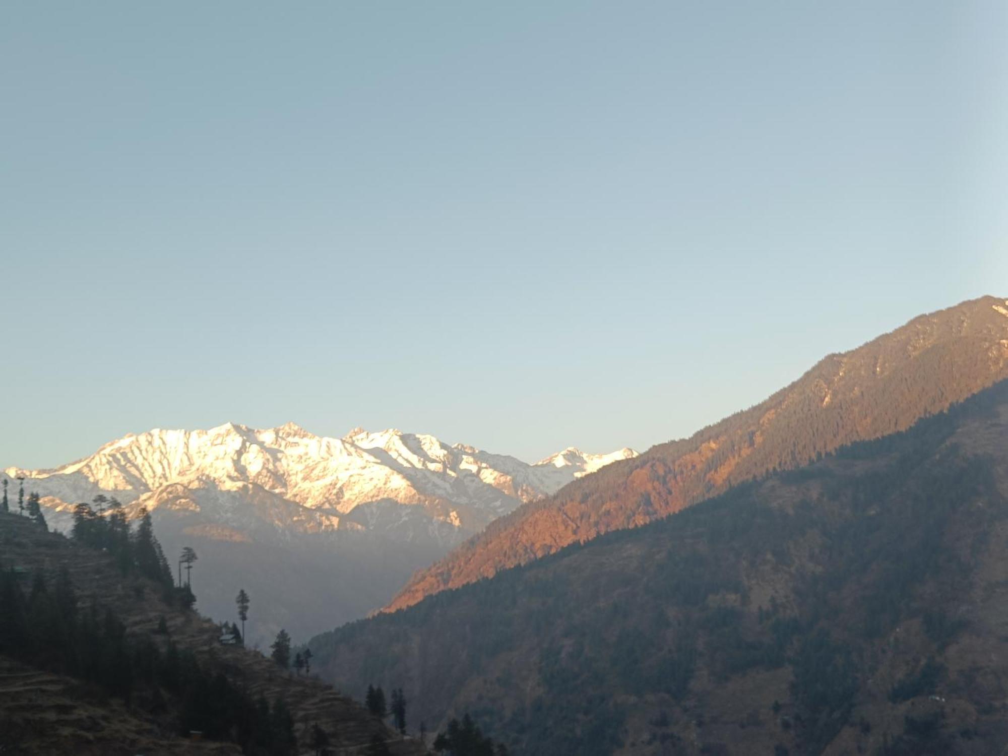 Trimounts-A Boutique Hotel & Wellnes Center In Tirthan Valley Banjar Ngoại thất bức ảnh
