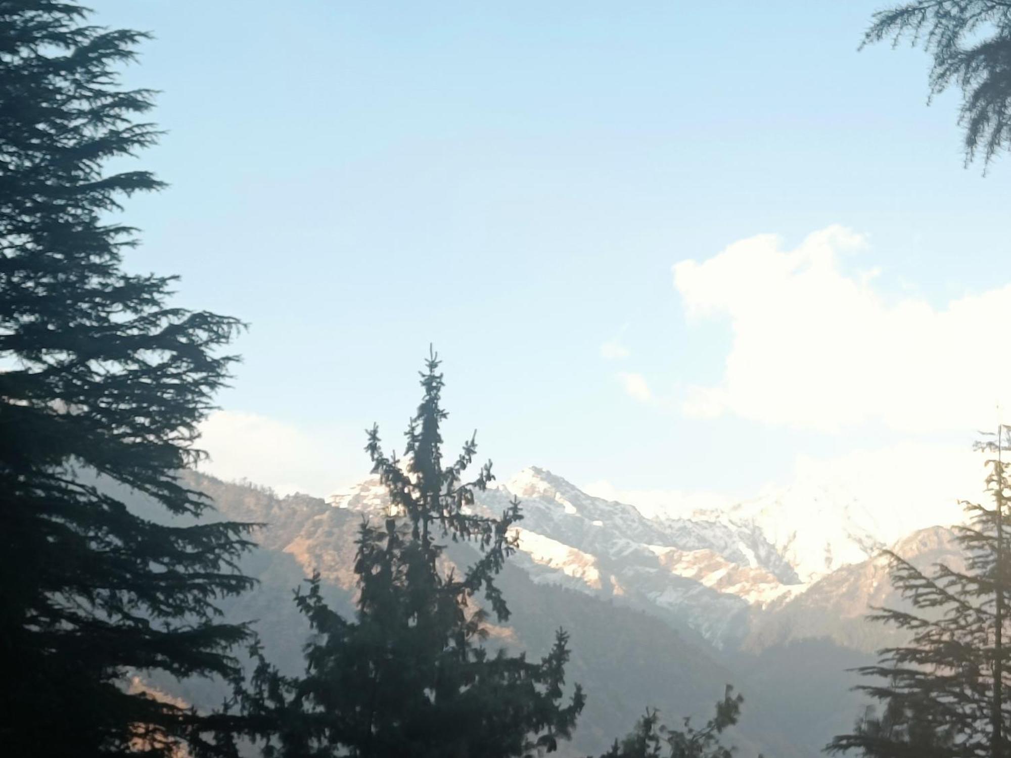 Trimounts-A Boutique Hotel & Wellnes Center In Tirthan Valley Banjar Ngoại thất bức ảnh